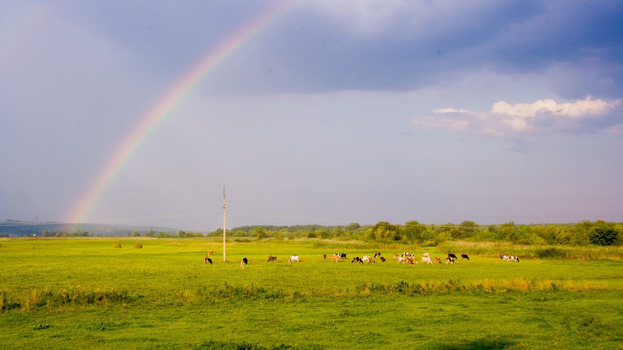 photo-rainbow